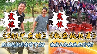 花200元包下一口干掉的甲鱼塘，里面还能不能找到甲鱼？｜南方人抓鱼比赛，原来南方人抓鱼这么野啊？｜#户外抓鱼 #户外捕鱼 #大表哥抓鱼 #乡村生活 #农村生活