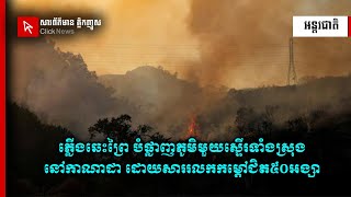 ភ្លើងឆេះព្រៃ បំផ្លាញភូមិមួយស្ទើរតែទាំងស្រុងនៅកាណាដា ដោយសាររលកកម្ដៅជិត៥០អង្សា