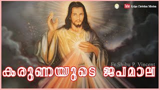 കരുണയുടെ ജപമാല 3 മണി പ്രാർത്ഥന | Fr Shibu P. Vincent (Germany) |