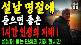 설날 1시간 동안 듣는 인생의 지혜 | 걱정없는 노후를 위한 방법 | 함부로 연인관계를 맺는것을 조심해야 하는 이유 | 노년의 재혼이 어려움 이유 | 인생지혜 | 오디오북