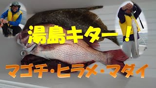 貸船元取った！湯島　ヒラメ、マゴチ、タイ