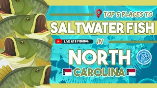 Top 5 Places to Saltwater Fish in North Carolina