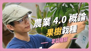 農業4.0概論-果樹栽種 ｜國立屏東科技大學 跨領域特色發展中心#屏科大#NPUST#農業#種植#agriculture#Planting