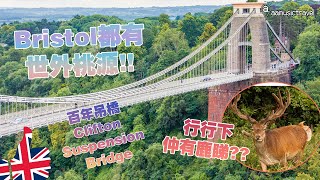 【英國 旅遊】Bristol 世外桃源 | 觀賞崖上的百年吊橋 | 原來Bristol都有鹿睇!!