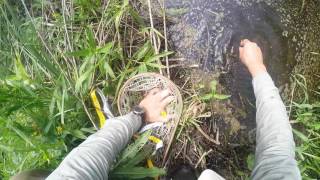 Upėtakių žūklė Lietuvoje. Epizodas 4. (trout fishing in Lithuania)