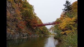 2017秋天北海道賞楓趣 第4集～定山溪溫泉導覽車  溫泉街 二見公園 2017.10.11