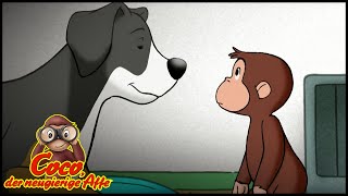 Coco der Neugierige | Coco bei der Hundeschau | Cartoons für Kinder