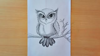 How to Draw An Owl Easy Step by Step || Cute Owl Drawing
