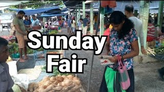 Around a Sri Lankan fair 🧑‍🌾