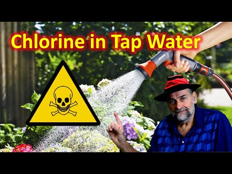 How does chlorine affect plants?