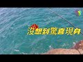 磯釣 澎湖 東嶼坪 大石頭 外礁 臭肚 象魚 白毛 馬鞭魚 喇叭魚 雀鯛 厚殼仔 練餌 不凍蝦 南極蝦 20240616