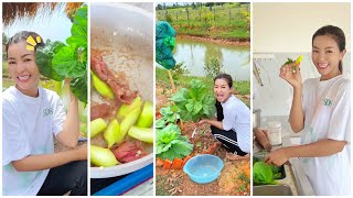 បន្លែ​ធម្មជាតិ​ យកមកធ្វេី​ម្ហូប​ 🥬​ ដាំដំណាំ​ដោយ​ខ្លួន​ឯង​ផ្ទាល់​ សប្បាយចិត្ត​ខ្លាំង​ណាស់​ ❤️