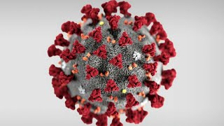 CDC confirms fourth Florida coronavirus case