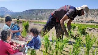 Master Mustafa has severe back pain, and she does heavy work for the land owner