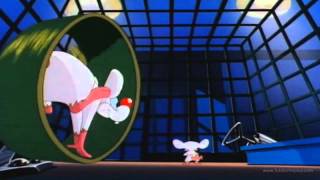 Pinky y Cerebro - Tratar de conquistar al mundo! HD