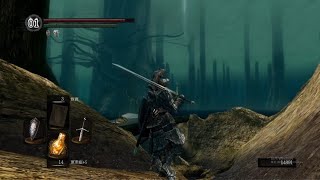 黑暗靈魂 DARK SOULS - 跑圖16 巨人墓地+重返不死院+大樹洞\u0026灰燼湖