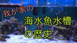 我が家の海水魚水槽の歴史