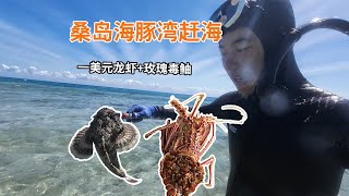 【坦桑尼亚】桑岛海豚湾抓玫瑰毒鲉，一美元买龙虾，亲手烹饪超满足