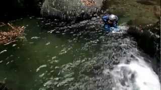 水根沢　淵を泳ぐ