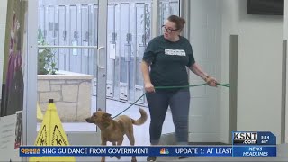 Community members help foster animals from Helping Hands Humane Society