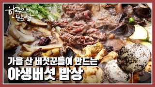 [한국인의 밥상] 가을 산은 야생버섯의 천국🍄 천안 버섯꾼들 이야기 “가을 향을 담다 – 버섯 밥상” (KBS 20211028 방송)