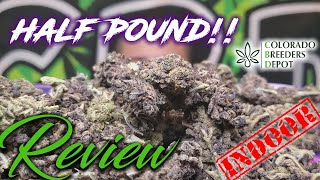 HALF POUND OF CBD HEMP FLOWER! | Purple Urkel from CBD Breeders Depot | CBD Hemp Flower Review