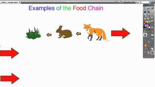 Grouping Objects in ActivInspire