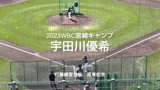 打撃練習に登板の宇田川、ダルビッシュとの食事会効果ありの投球！！【2023.2.21 WBC宮崎キャンプ】#2023WBC宮崎キャンプ#サンマリンスタジアム#宇田川優希