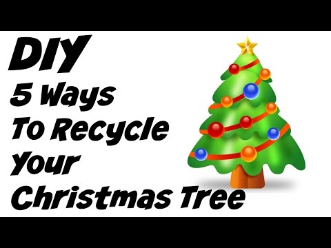 5 Ways To Recycle Your Christmas Tree 5 Ways To Recycle Your Christmas Tree