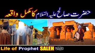 Hazrat Saleh as aur Qoume Samood Ka Qissa  | Islamic Stories | Life in islam
