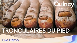 Live Démonstration - Tronculaires du pied