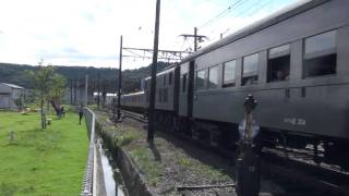 大井川鉄道C11SLさよならバック運転号