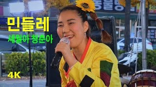 민들레 - 세월아 청춘아 (2016년 11월 20일) (4K)