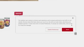 WHAT THE TECH? Privacy 101: Website cookies explained