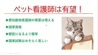 ペット看護師は、今後有望な資格です！取得するなら今のうちです。