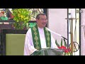 Fr Jerry Orbos SVD - August  1 2021,  18th Sunday  in Ordinary Time 