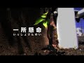 【15秒スポットcm部門・佳作】　千葉まけず桜