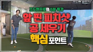 핀 옆에 딱 떨어지는 피치샷을 배워보자 / 주말골퍼를 위한 조도현프로의 5분 특강