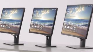 Dell P Monitor Family