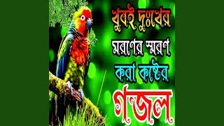 New Islamic Bangla Gazal