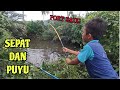 #EP1008 Menjala Ikan Sepat dan Memancing Ikan Puyu