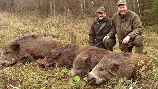 CHASSE AU GROS GIBIER DANS LE MORVAN