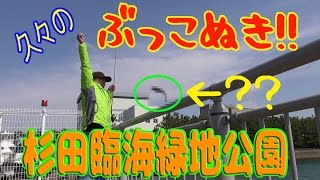 釣り動画ロマンを求めて　41釣目（杉田臨海緑地公園）