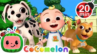 JJ and Nina’s Puppy Friends | 🍉 CoComelon - JJ's Baby Songs 🎶