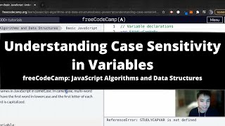 Understanding Case Sensitivity in Variables (Basic JavaScript) freeCodeCamp tutorial