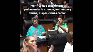 Un Senado de 10 en transparencia