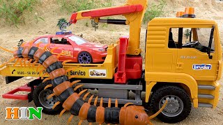 जानवरों पीछा आग ट्रक | टो ट्रक बचाव | कारें खिलौने वीडियो | BIBO TOYS Hindi