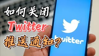 如何关闭Twitter推送通知？Twitter关闭通知的方法 #Twitter使用指南 #Twitter怎么用 #Twitter关闭推送通知教程