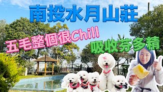 南投/水月山莊/非常棒的寵物友善民宿，吸收芬多精，五毛整個很Chill！2019年新開幕的南投埔里景觀餐廳『有水居創意餐坊』，好吃好拍的寵物友善餐廳！南投埔里/寵物友善民宿/南投旅遊。