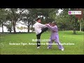 the original tai chi every move is used to combat many people do not know how to use